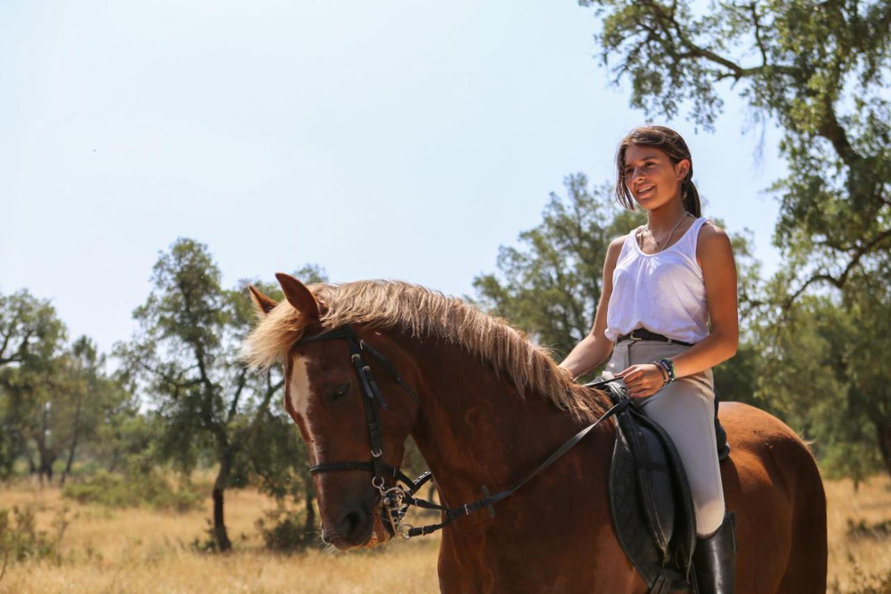 Farm stay Monte Do Areeiro