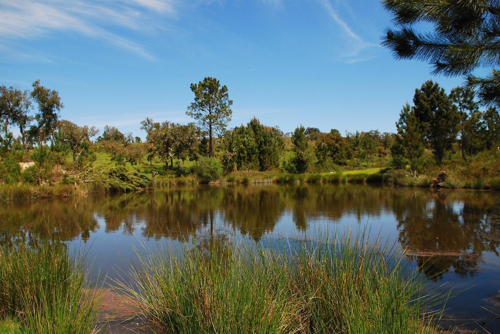 Alojamento de Turismo Rural Monte Do Areeiro