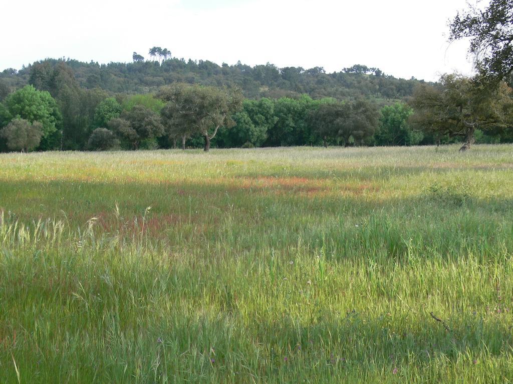 Alojamento de Turismo Rural Monte Do Areeiro